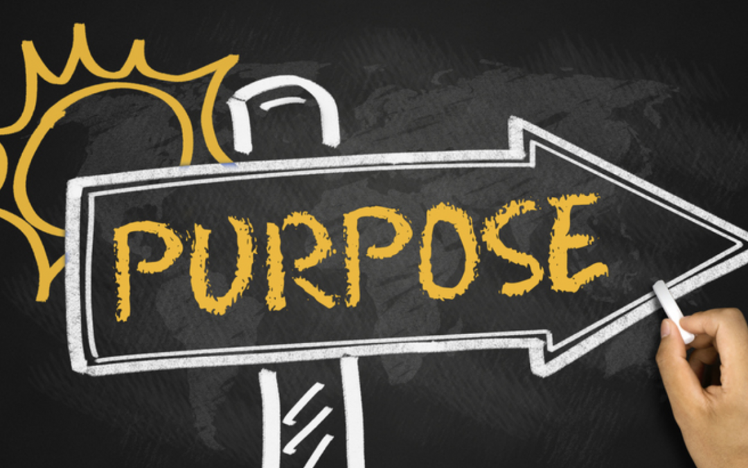 When Organisational Purpose and Identity are One And The Same